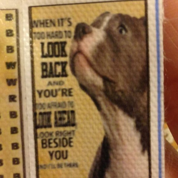 Diamond Painting, the comfort of our animal friends - Picture 1 of 5